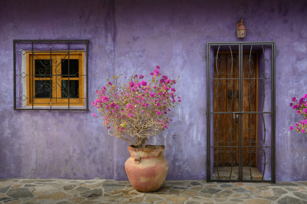 The best photo workshops in the world