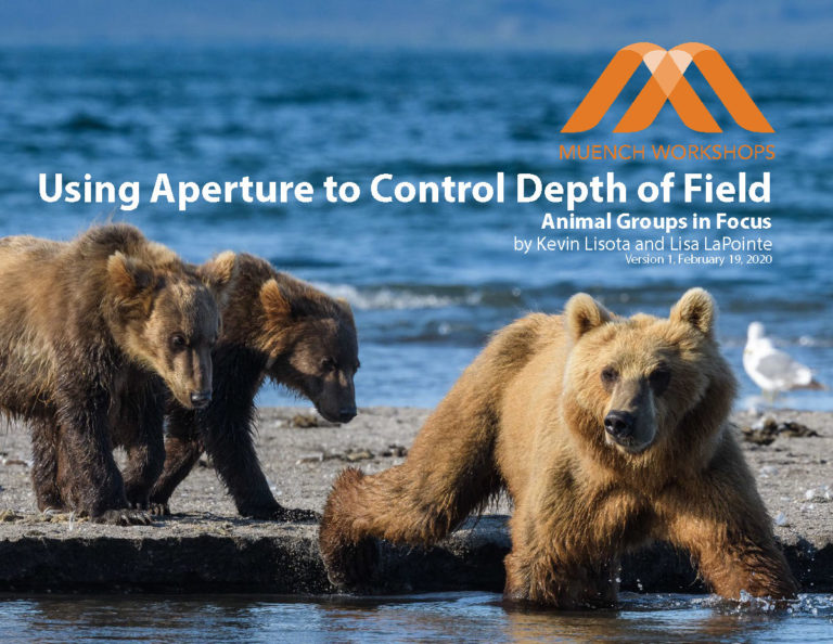 Using Aperture to Control Depth of Field