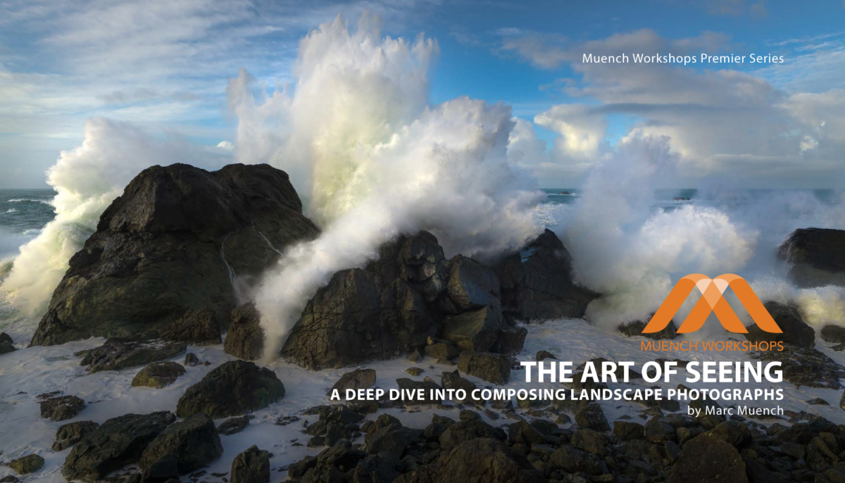The Art of Seeing eBook