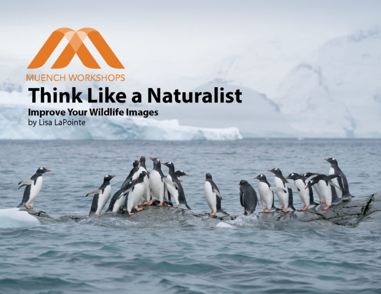 Think Like a Naturalist