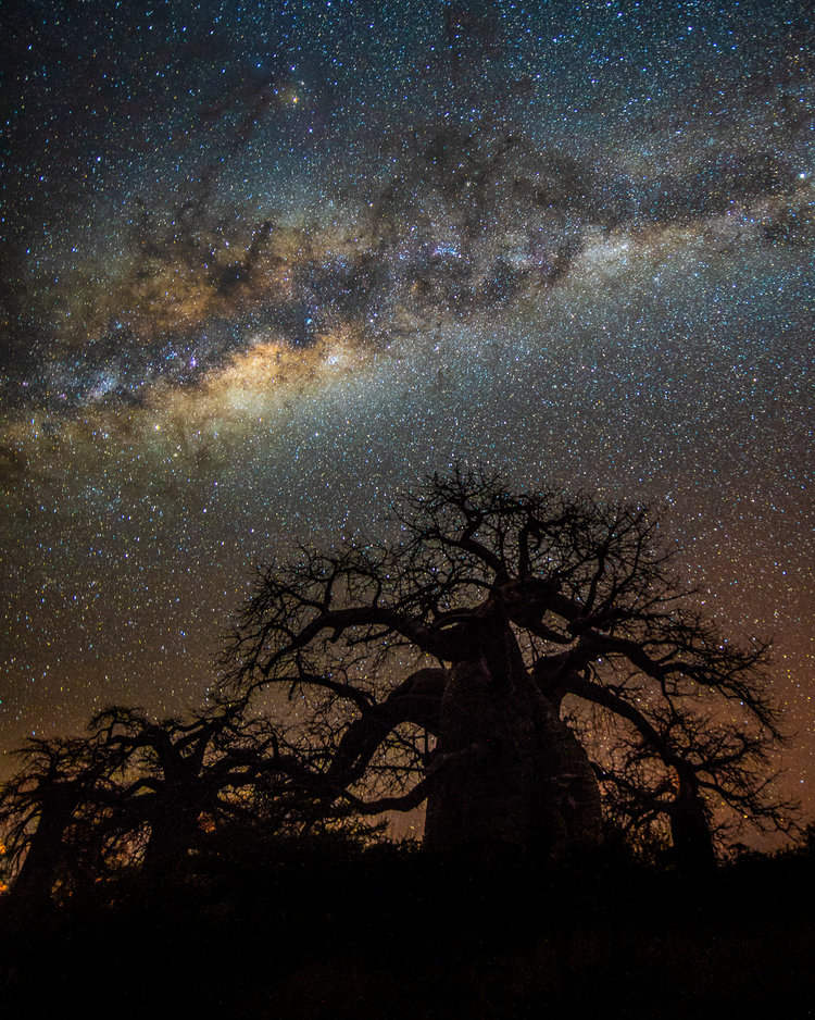 Night photography workshops