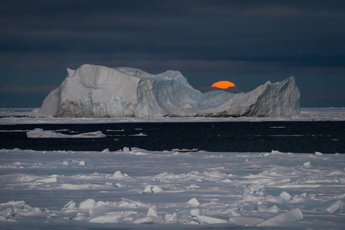 Photography expeditions and workshops to the world's wildest locations.