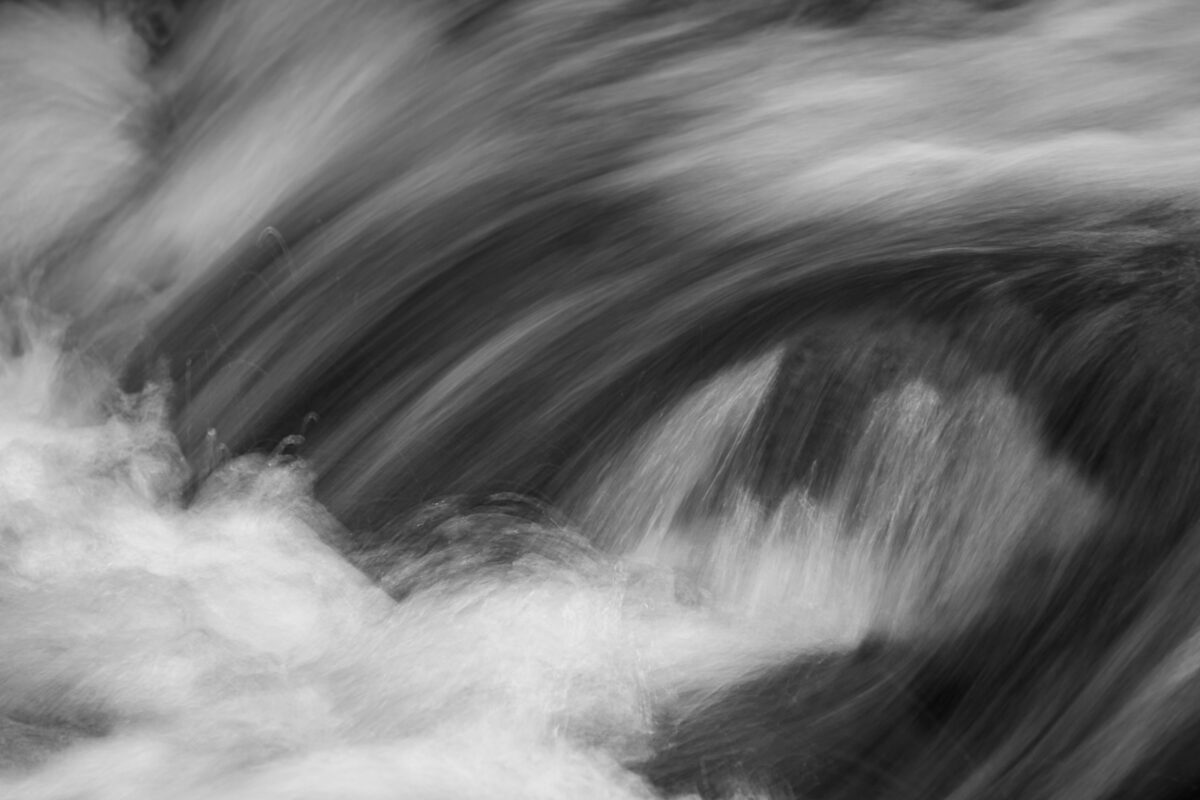 Black and white photographs showcasing luminosity and contrast.