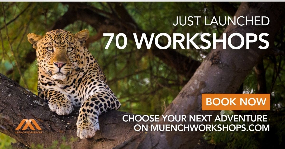 2027 Muench Workshops