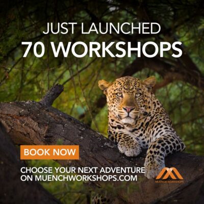 PR 2027 Workshops