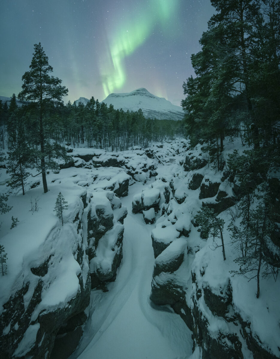 The Northern Lights glow above a snow-covered mountain in northern Norway, framed by pine trees and a narrow frozen gorge filled with snow-covered rocks beneath a clear winter sky.