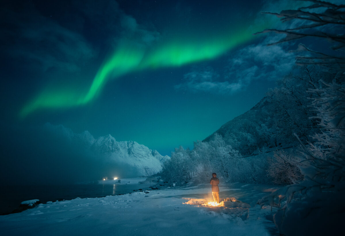 Person standing beside a campfire on a snowy Arctic shoreline beneath the Northern Lights and frost-covered trees.