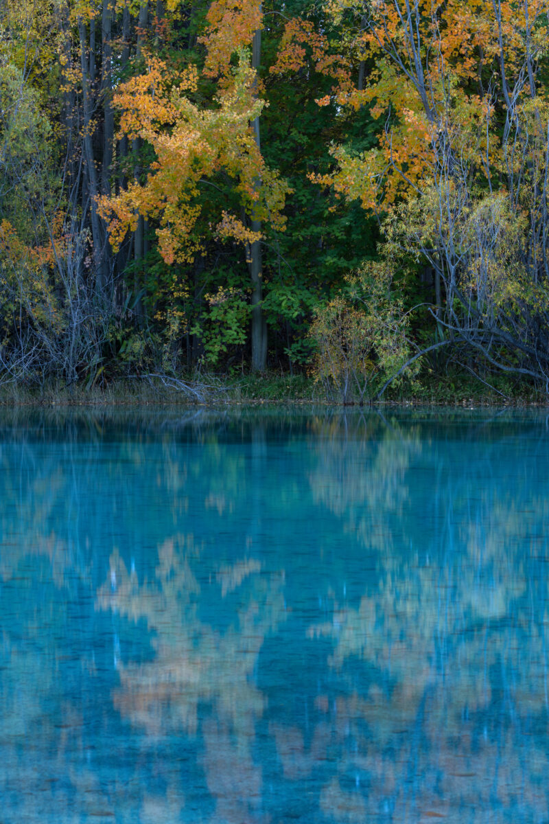 Autumn trees in shades of gold and green line the shore of Lake Ruataniwha in New Zealand's Mackenzie Basin. Their colorful foliage is reflected in the lake's striking turquoise water, creating a serene scene of contrasting blues and autumn tones.