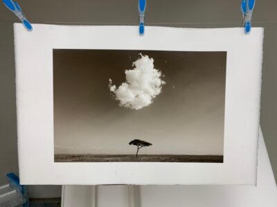 Freshly made platinum palladium print of a lone acacia tree beneath a single cloud, clipped to a drying line on handmade paper in Michael Strickland's darkroom.