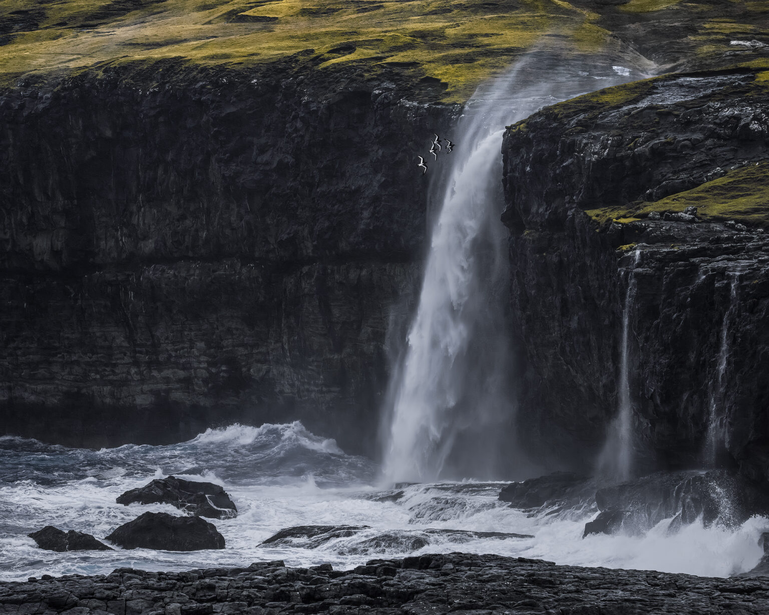A close-up photograph of a powerful waterfall plunging off a dark, rocky coastal cliff directly into churning white ocean waves. A small flock of sea birds flies near the spray, framed against moody, dark grey rock and patches of green grass above.