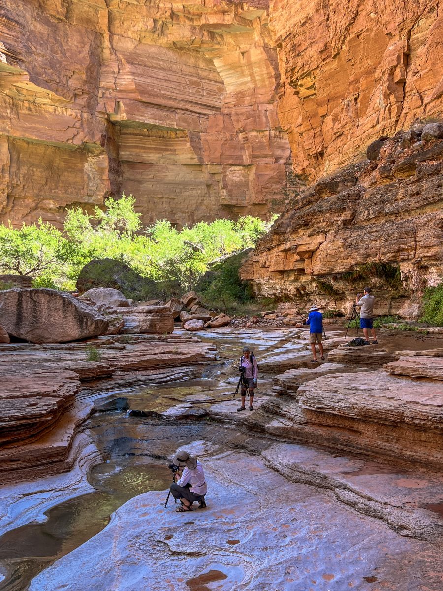 A narrow red-rock canyon with a shallow stream flowing through layered sandstone.